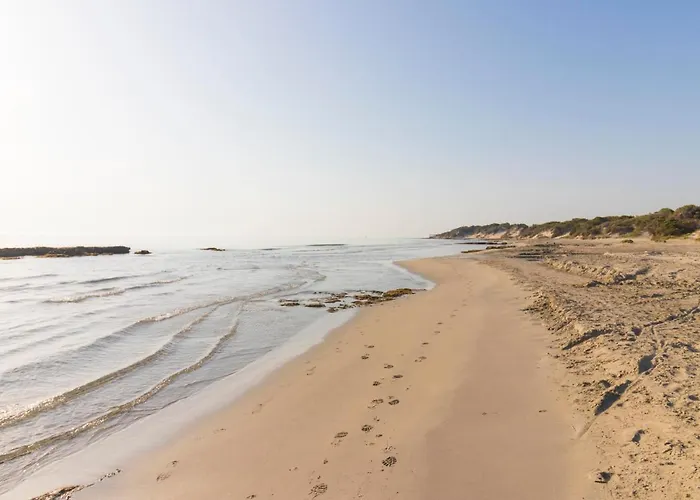 Modern With Wi-fi, Air Conditioning And Balcony; Pets Allowed Tatil Evi *